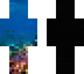 the coral reef