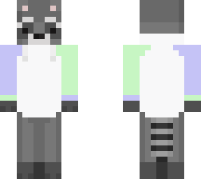racoon in jumper