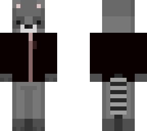 somn racoon
