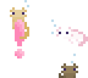 ~ c o n t e s t ! ~