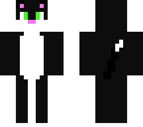 night kitty