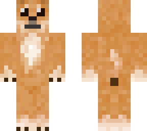 chestert perro v2