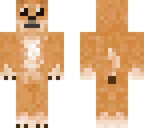 chestert perro v3