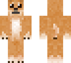 chestert perro v3