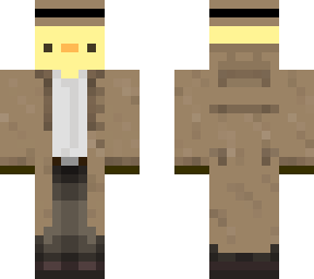 incognito duck