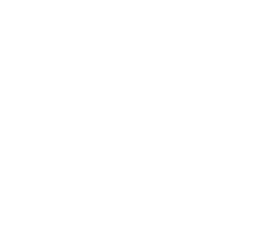 particles