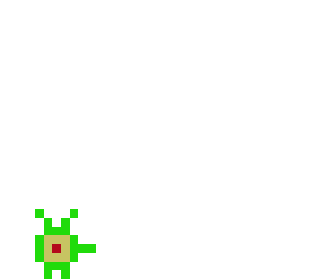 plankton