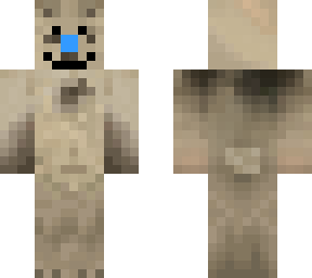 the bear