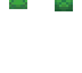turtle hat (template)