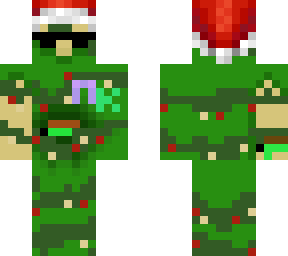mrturtlecz winter