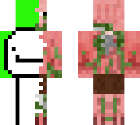 pigdream