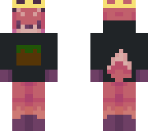 (not my skin just putting a hoodie on it) (oliverbob made this) hoodie fox!
