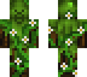 forest steve