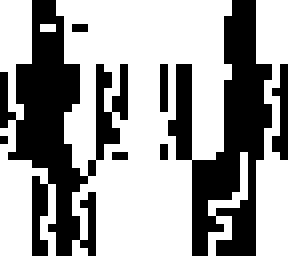 black white ninja