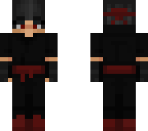 ninja 2030
