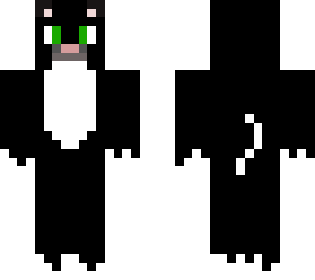 black cat