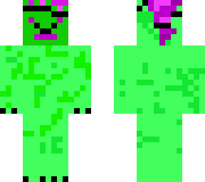 lizard