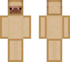 bread steve