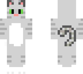 fiona (silver tabby cat)
