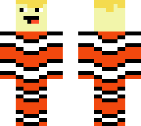 skin for dyl4n