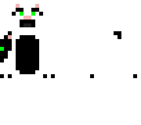 cat best friends (2)