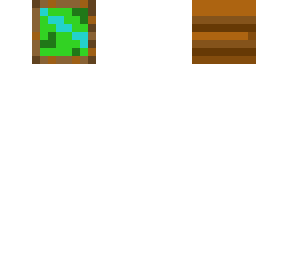 mincraft map in frame