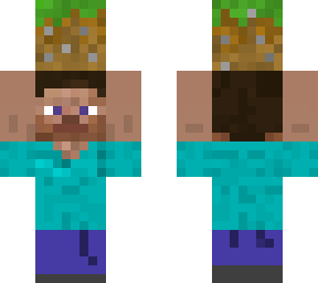 steve dirt block
