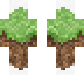 dirt