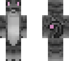 gray sunglasses cat