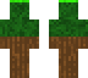 hidden: oak wood, leaves, and lime carpet