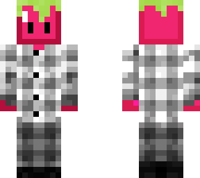 TWIXXEL LESGO MINECRAFT SKINS visual data 5