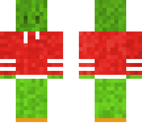 turtle w/ sweatshirt