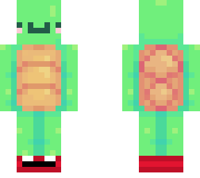 funny turtle