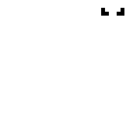 the ghost skin