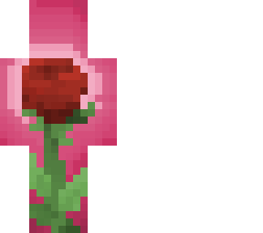 30 follows rose contest results ^^