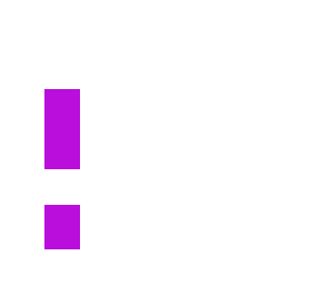 main reveal