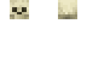skull head