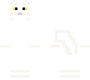 white cat