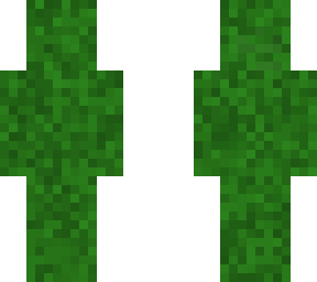 grass.