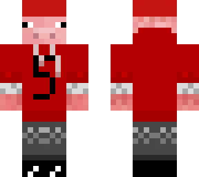 5 followers technoblade skin?!