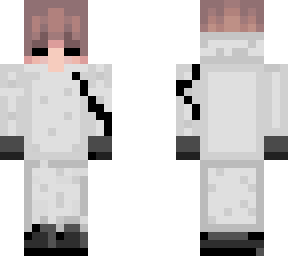 custum skin for itsthecrazycrew