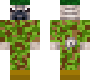 pug soldier