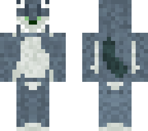 grey cat