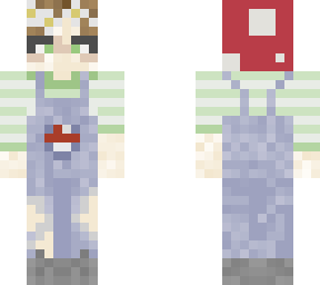 main skin