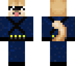 navy doge