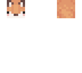 ace head
