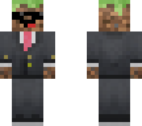 dirt block skin