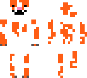 orange and white cat