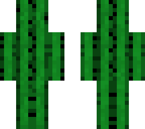 cactus inc.