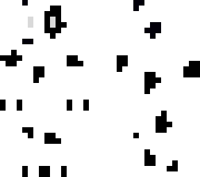 dalmatian (ki ki=name